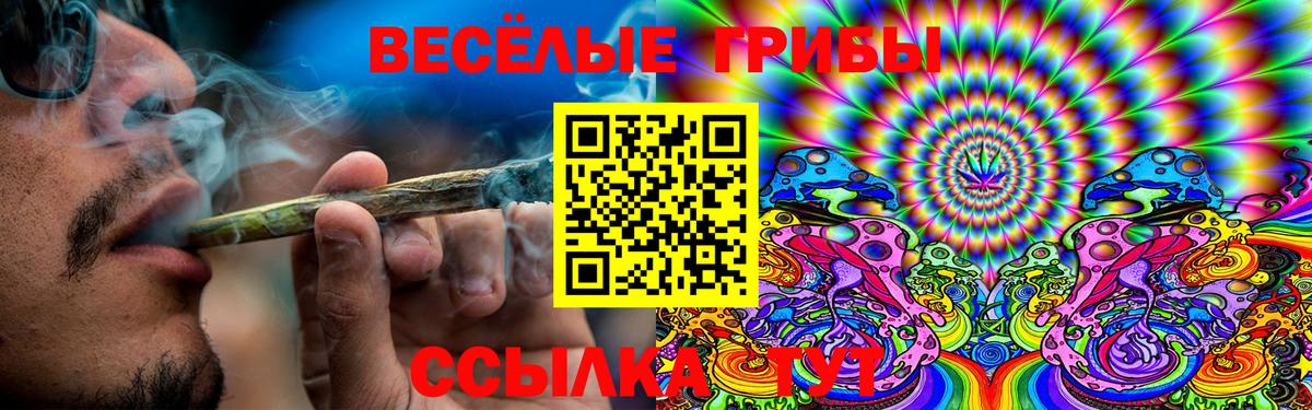 Комсомольск-на-Амуре  Галлюциногенные грибы прущие грибы  Вход с VPN  Псилоцибиновые грибы мицелий 